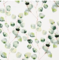 Eucalyptus