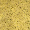 double gaze coton bio banana